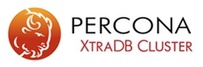 percona1